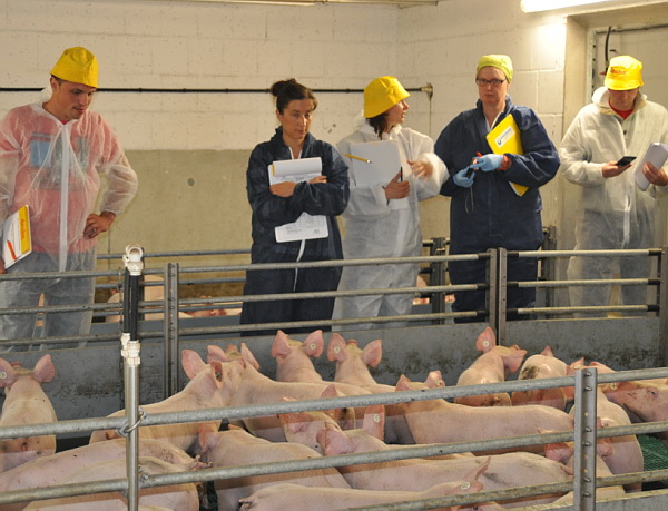 Hier lernen die Kursteilnehmer Checklisten abzuarbeiten, die insbesondere auf die Schweinesignale hinweisen.