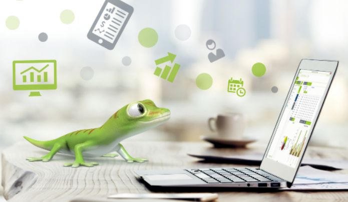 Aktuelles Major Release 35.5 von CSS: Vorgeschmack auf die neue eGECKO Zukunft