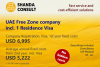 FREE ZONE BUSINESS SETUP IN THE HEART OF THE UAE – LOW-COST